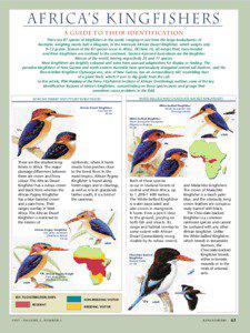 Afric a’s Kingfishers A GUIDE TO THEIR IDENTIFICATION There are 87 species of kingfishers in the world, ranging in size from the large kookaburras of