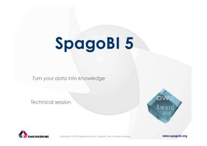 SpagoBI_USA_technical_print