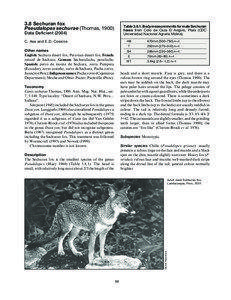 3.8 Sechuran fox Pseudalopex sechurae (Thomas, 1900)