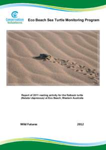 Microsoft Word[removed]report - Eco Beach Sea Turtle Monitoring Program.doc