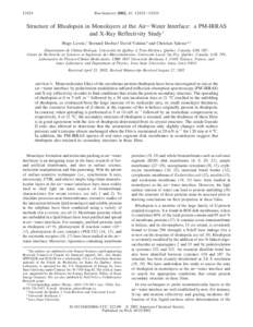 [removed]Biochemistry 2002, 41, [removed]Structure of Rhodopsin in Monolayers at the Air-Water Interface: a PM-IRRAS and X-Ray Reflectivity Study†