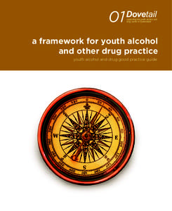 01  supporting the youth alcohol and drug sector in Queensland  a framework for youth alcohol