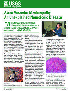 Avian Vacuolar Myelinopathy An Unexplained Neurologic Disease