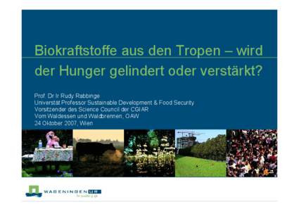 Biokraftstoffe aus den Tropen – wird der Hunger gelindert oder verstärkt? Prof. Dr Ir Rudy Rabbinge Universtät Professor Sustainable Development & Food Security Vorsitzender des Science Council der CGIAR Vom Waldesse