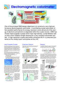 CERN LHC  Electromagnetic calorimeter PbWO4  Pb