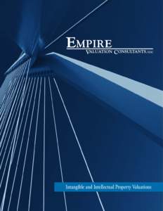 Intellectual property law / Financial economics / Financial accounting / Generally Accepted Accounting Principles / Mergers and acquisitions / Valuation / Real estate appraisal / Intellectual property valuation / Business valuation / Finance / Business / Accountancy