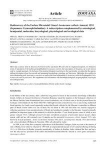 Rediscovery of the Earless Microteiid Lizard Anotosaura collaris Amaral, 1933 (Squamata: Gymnophthalmidae): A redescription complemented by osteological, hemipenial, molecular, karyological, physiological and ecological data