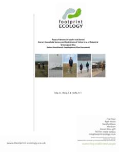 Access Patterns in South-east Dorset Dorset Household Survey and Predictions of Visitor Use of Potential Greenspace Sites Dorset Heathlands Development Plan Document  Liley, D., Sharp, J. & Clarke, R. T.