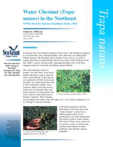 Water Chestnut Factsheet - Final