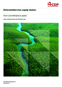 Deforestation-free supply chains: From commitments to action Written on behalf of 240 investors with US$15 trillion in assets CDP Global Forests Report 2014 November 2014