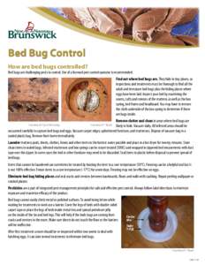 Bed Bug Control How are bed bugs controlled? Bed bugs are challenging pests to control. Use of a licensed pest control operator is recommended. Find out where bed bugs are. They hide in tiny places, so inspections and tr