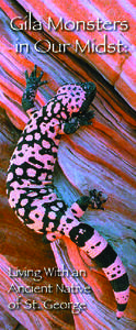 I  f you live, work or play in the desert around St. George, you may come upon a Gila Monster. The Gila Monster is an ancient native of St. George; its