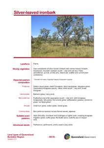 Microsoft Word - BD18_Silver-leaved ironbark.doc