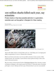 100 million sharks killed each year, say scientists | Environment | guardian.co.uk