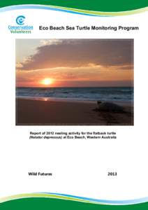 Microsoft Word[removed]report - Eco Beach Sea Turtle Monitoring Program.doc