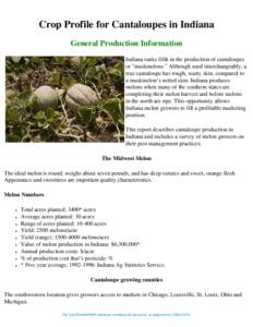 Crop Profile for Cantaloupes in Indiana General Production Information Indiana ranks fifth in the production of cantaloupes or 