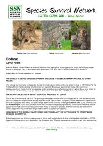 Biology / Canada lynx / Felidae / Bobcat / Endangered species / CITES / Lynx / Zoology / Fauna of the United States