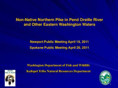 Non-Native Northern Pike in Pend Oreille River and Other Eastern Washington Waters Newport Public Meeting April 19, 2011 Spokane Public Meeting April 20, 2011