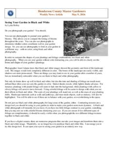 Landscape / Gardening / Land management / Photography / Garden / Black and white / Geography / Mounts Botanical Garden
