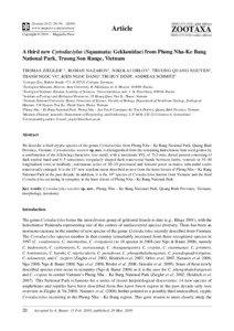 Geography of Vietnam / Provinces of Vietnam / Geology of Vietnam / Phong Nha-Ke Bang National Park / Cyrtodactylus / Son Trach / Bo Trach District / Cyrtodactylus phongnhakebangensis / Vietnam / Quang Binh Province / Gekkonidae / Asia