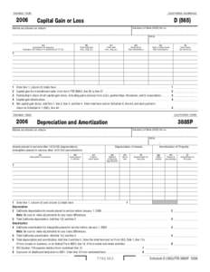 2006 Capital Gain or Loss/Depreciation and Amortization