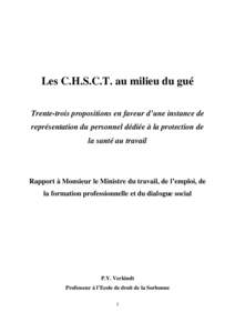 Les C.H.S.C.T. au milieu du gué Trente-trois propositions en faveur d’une instance de représentation du personnel dédiée à la protection de la santé au travail  Rapport à Monsieur le Ministre du travail, de l’