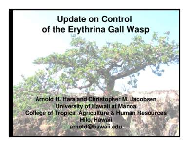 Update on Control of the Erythrina Gall Wasp Arnold H. Hara and Christopher M. Jacobsen University of Hawaii at Manoa College of Tropical Agriculture & Human Resources