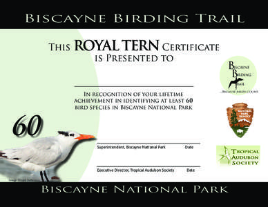 Biscayne Birding Trail This ROYAL TERN Certificate is Presented to