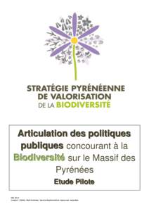 Articulation des politiques publiques concourant à la Biodiversité sur le Massif des Pyrénées Etude Pilote Mai 2013