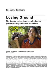 Executive Summary  Losing Ground The human rights impacts of oil palm plantation expansion in Indonesia