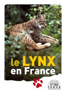 © Maurice Chatelain  le LYNX en France F E R U S