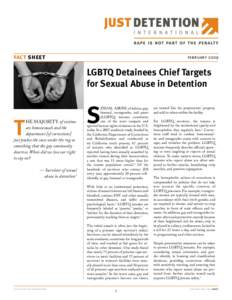 fact sheet  february 2009 LGBTQ Detainees Chief Targets for Sexual Abuse in Detention