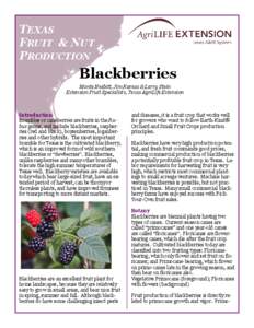 TEXAS FRUIT & NUT PRODUCTION Blackberries Monte Nesbitt, Jim Kamas & Larry Stein