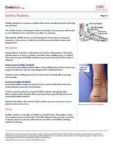 .org Achilles Tendinitis Page[removed]Achilles tendinitis is a common condition that causes pain along the back of the leg