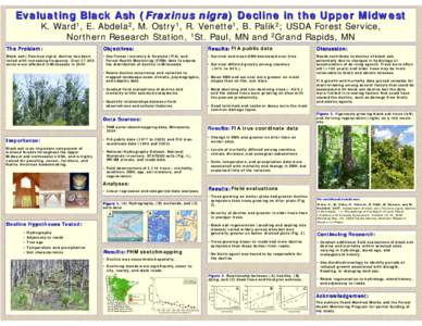 Evaluating Black Ash (Fraxinus nigra) Decline in the Upper Midwest