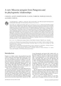 A new Miocene penguin from Patagonia and its phylogenetic relationships