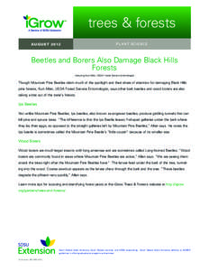 trees & forests P L A N T S C I EN C E AU G U S TBeetles and Borers Also Damage Black Hills