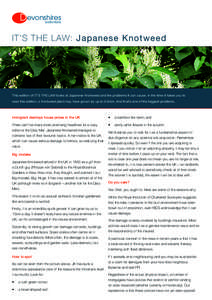 evonshires solicitors IT’S THE LAW: Japanese Knotweed  This edition of IT’S THE LAW looks at Japanese Knotweed and the problems it can cause. In the time it takes you to