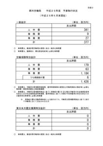 別添２  栃木労働局　　平成２５年度　予算執行状況 （平成２５年６月末現在） 一般会計