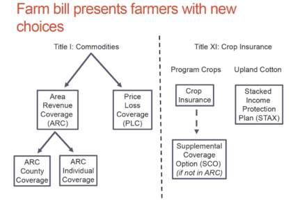 Agricultural subsidies / Economy of the United States / Crop insurance / Crops / Deficiency payments / Law / Food /  Conservation /  and Energy Act / Base acreage / Insurance / United States Department of Agriculture / Agriculture in the United States / Agriculture