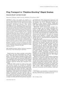 JOURNAL OF MORPHOLOGY 258:358 –[removed]Prey Transport in “Palatine-Erecting” Elapid Snakes