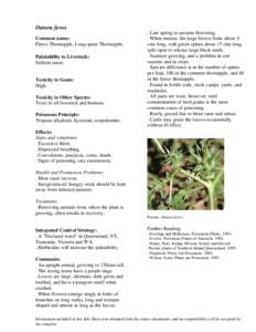 Datura ferox Common name: Fierce Thornapple, Long-spine Thornapple, Palatability to Livestock: Seldom eaten.