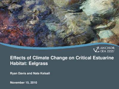 Effects of Climate Change on Critical Estuarine Habitat: Eelgrass Ryan Davis and Nate Kelsall November 15, 2010  Acknowledgements