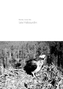 Portfolio - févrierLéa Habourdin Biographie Née dans le nord de la France (1985), Léa Habourdin a