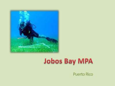 Puerto Rico  Network of 32 MPA’s NER12