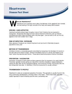 Zoonoses / Parasites / Nematodes / Dirofilaria immitis / Helminthiases / Neglected diseases / Filariasis / Dirofilaria / Wuchereria bancrofti / Medicine / Veterinary medicine / Biology