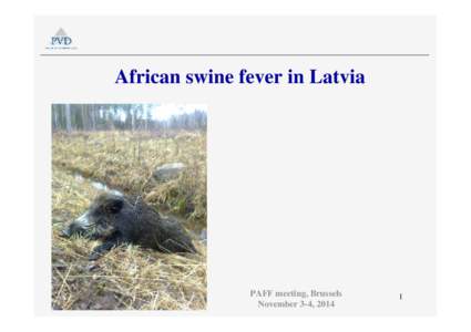 Animal virology / Agriculture / Pork / Viruses / Wild boar / African swine fever virus / Domestic pig / Boars in heraldry / Classical swine fever / Pigs / Zoology / Biology