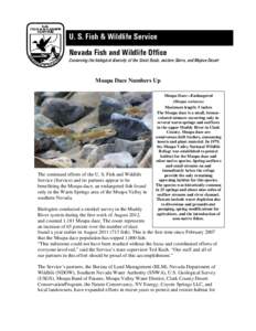 U. S. Fish & Wildlife Service Nevada Fish and Wildlife Office Conserving the biological diversity of the Great Basin, eastern Sierra, and Mojave Desert Moapa Dace Numbers Up