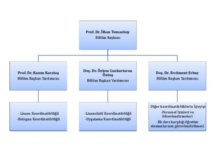 Prof. Dr. İlhan Tomanbay Bölüm Başkanı Prof. Dr. Kasım Karataş Bölüm Başkan Yardımcısı