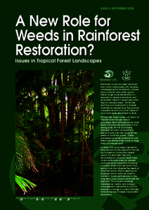 ISSUE 4 SEPTEMBER[removed]A New Role for Weeds in Rainforest Restoration? Issues in Tropical Forest Landscapes